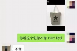 芝罘为什么选择专业追讨公司来处理您的债务纠纷？